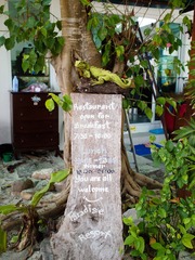 P1105047-1