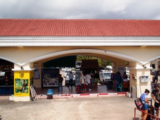 P1105008-1