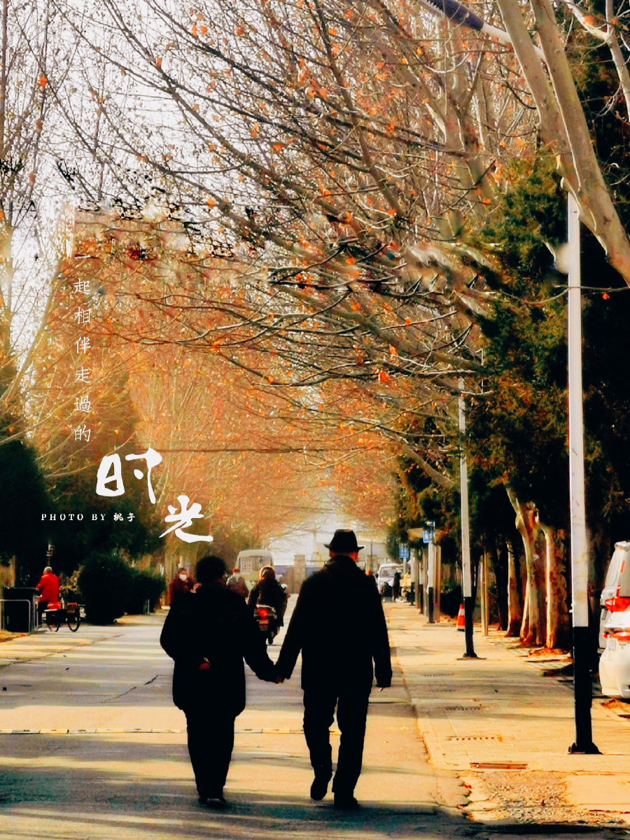 执子之手·陪伴不羡慕街头拥吻的情侣只羡慕白头偕老的陪伴