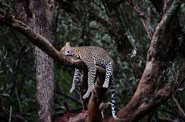 DSC_7240.jpg