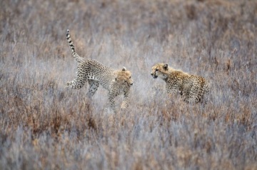 “DSC_6550”为智能对象-1.jpg