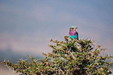 DSC_6380.jpg