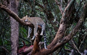 DSC_7247.jpg