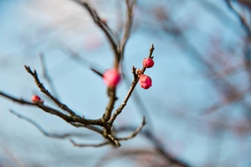 _DSC4343