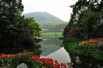 _CSC0149.JPG
