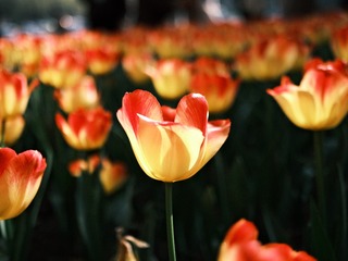 6E586D41-25B9-4713-B81B-7BDF47CBE65B/L0/001