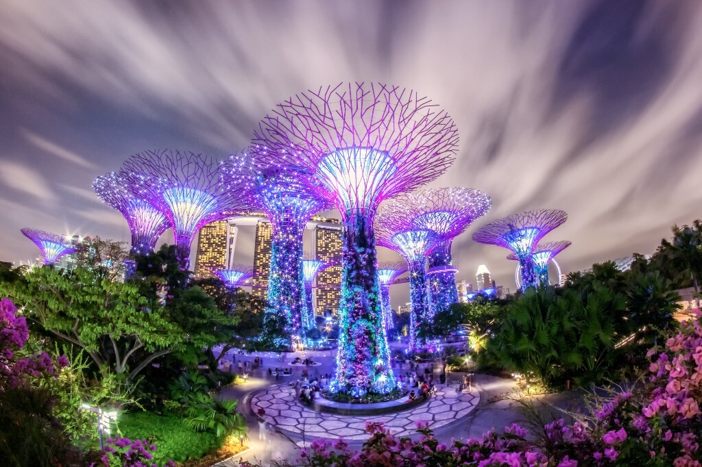摄于新加坡滨海湾花园