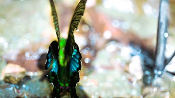 1-IMG_3880-
