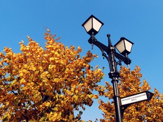 APA081547.jpg