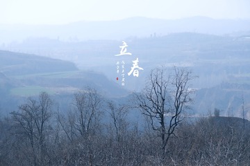 76362