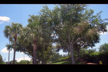 IMG_0960 