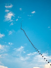 2012-07-22 后海 (1)
