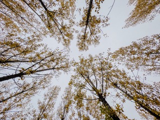 A34D2F48-75A7-40EF-8CE3-38A871CB083D/L0/001
