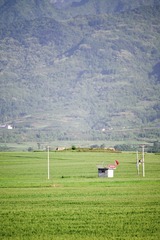 C0E9E609-5A71-4ABD-B5E1-3322305E0618/L0/001