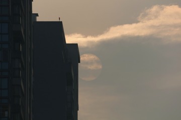 1153577