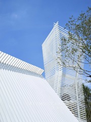 CF066143