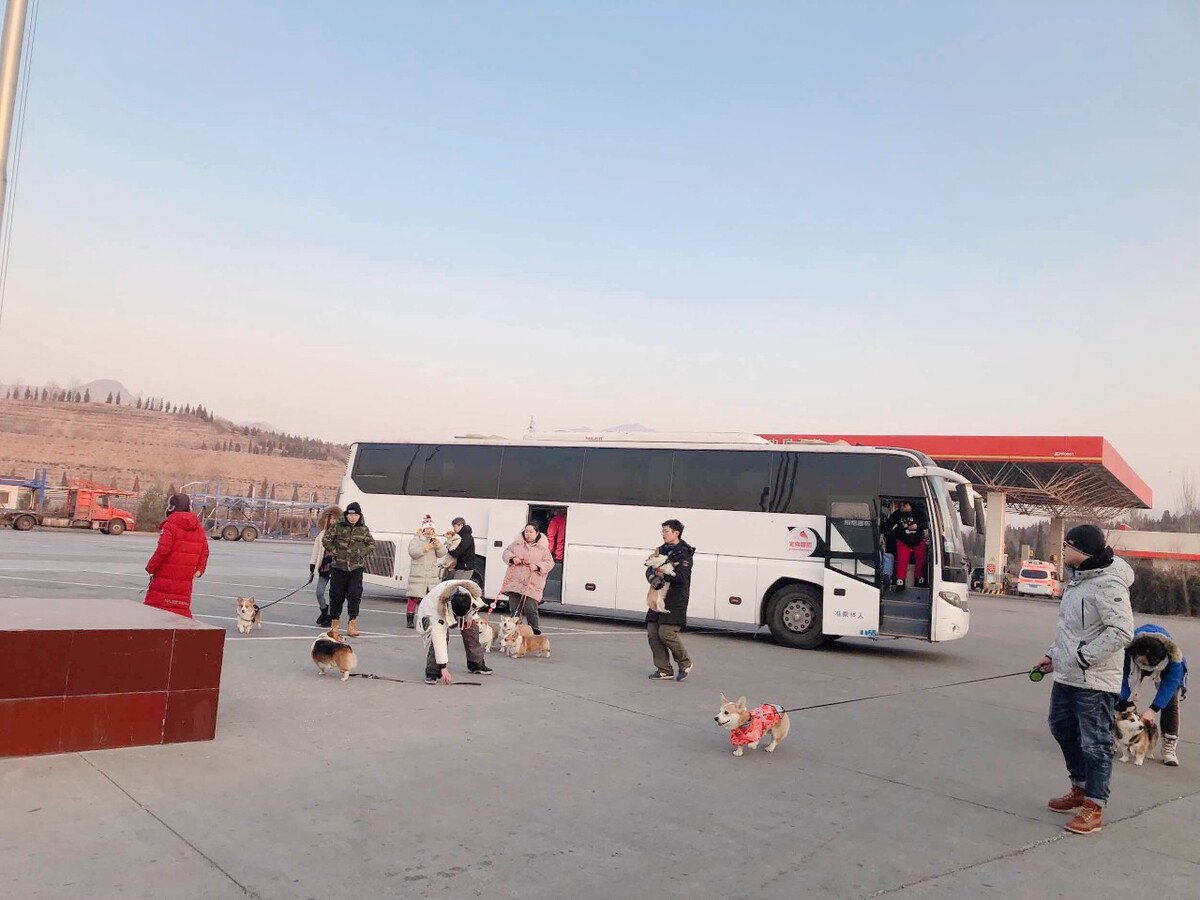 北京公交驾校陪练练车