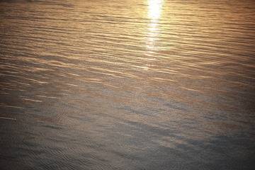 49D25259-C1C7-428D-90CC-F19664B1102A/L0/001