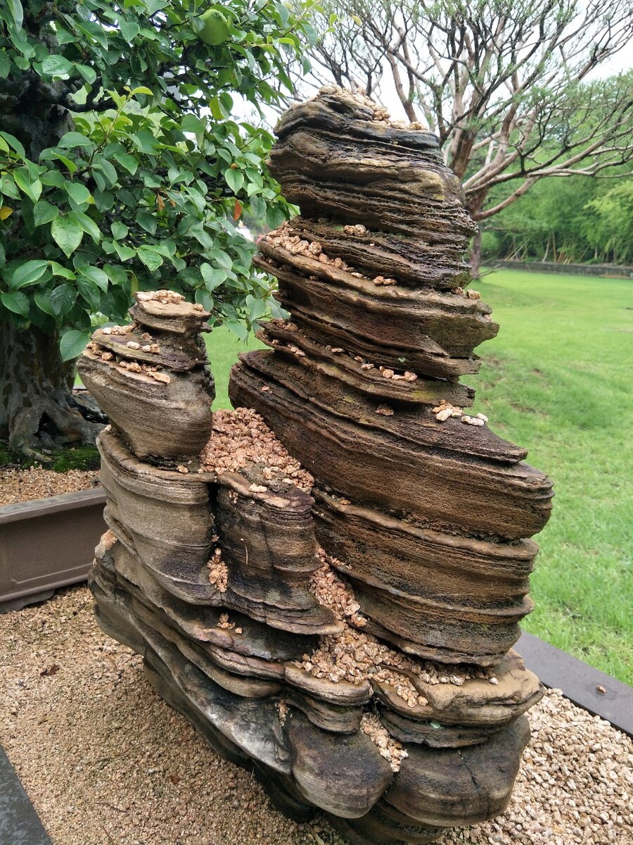 什么木可以驱虫驱蚊