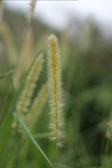AADCDE3A-A570-472C-BD3F-AF4829CE1227/L0/001