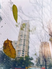5C5CCC6D-DC11-440A-931D-18FAD136F026/L0/001