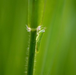 IMG_8627x
