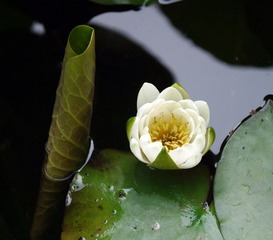 CRW_8367x