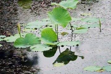 IMG_8314x