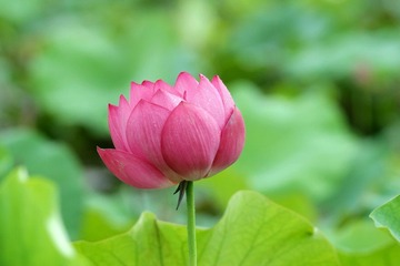 IMG_9104x