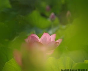 CRW_9633