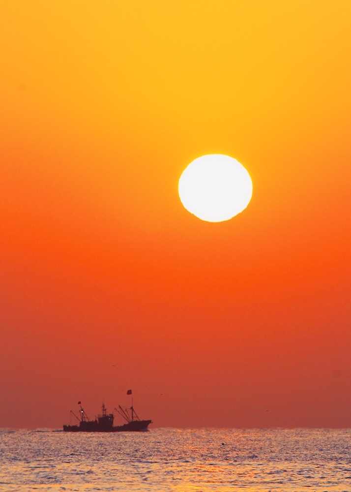 朝阳高照迎新年