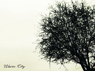 Warm City