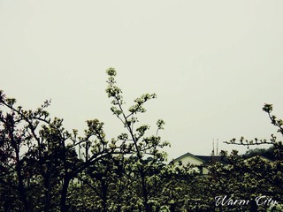 Warm City