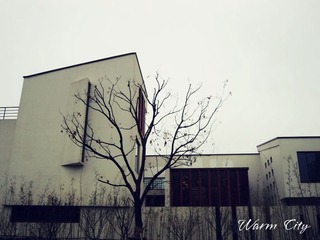 Warm City
