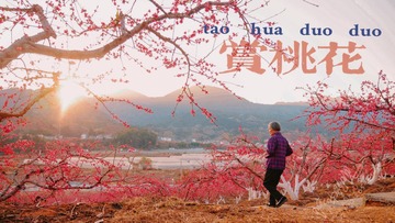 9BC4C47F-6F95-4C41-8EA5-23F3CD13B3AB/L0/001