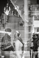 Moma1603-3