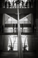 Moma1603-4