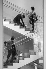Moma1603-5