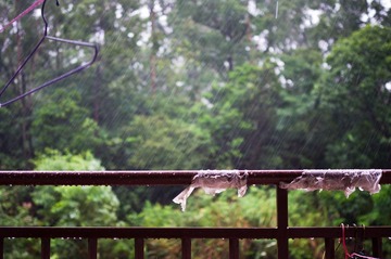 雨