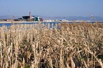 IMGP9716.jpg