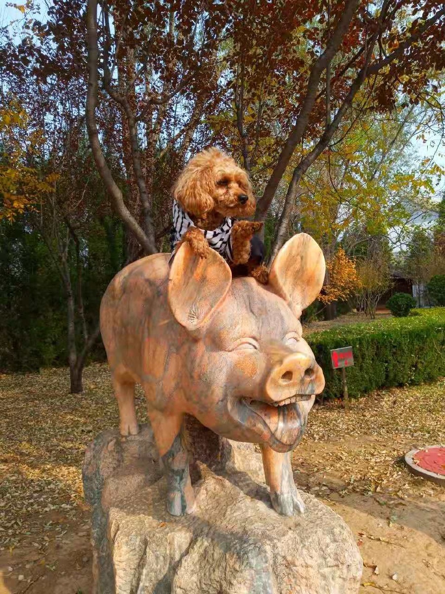 沈阳女Barber编发师