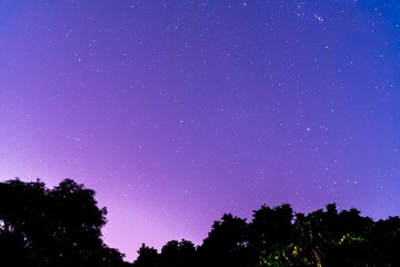 CJJ_3561