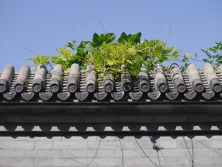 P1180417