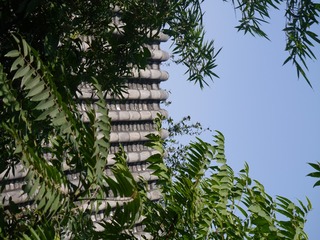 P1180496