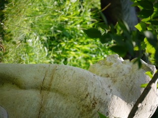 P1140011