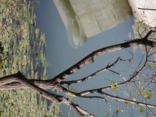 P1190770