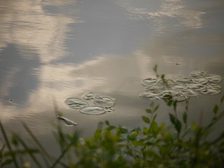 P1150788