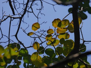 P1180692