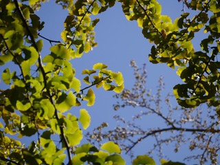 P1180835