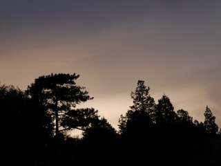 P1190633